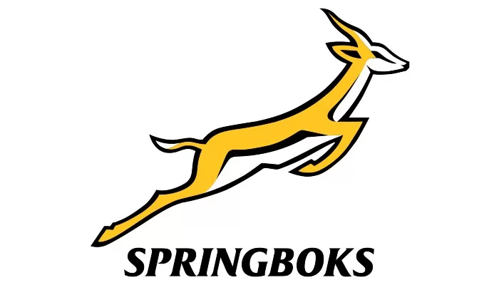 south african rugby team logo